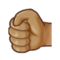 Left-Facing Fist - Medium emoji on Samsung